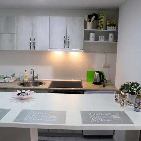 Apartman Na Dan Grbavica شقة *